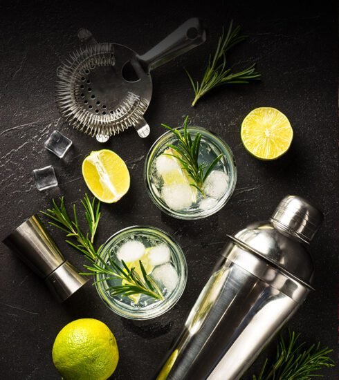 El Refrescante Cóctel Gin Rickey