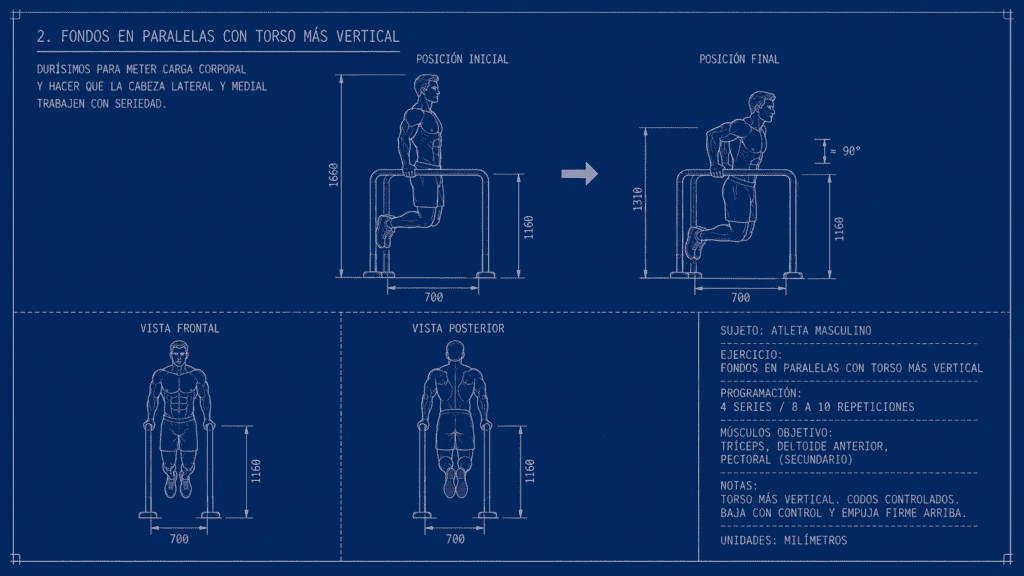 2. Fondos en paralelas con torso más vertical
