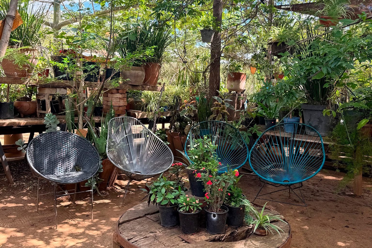 Sillones tejidos rodeados de árboles en Almú, Oaxaca